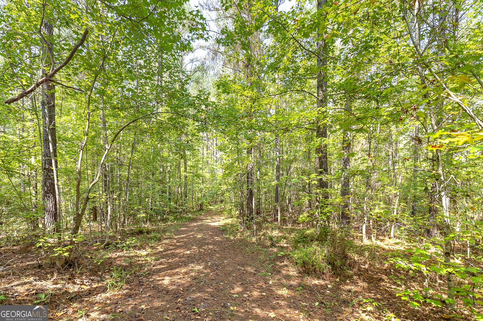 478 Blue Store Road Forsyth - Photo 58