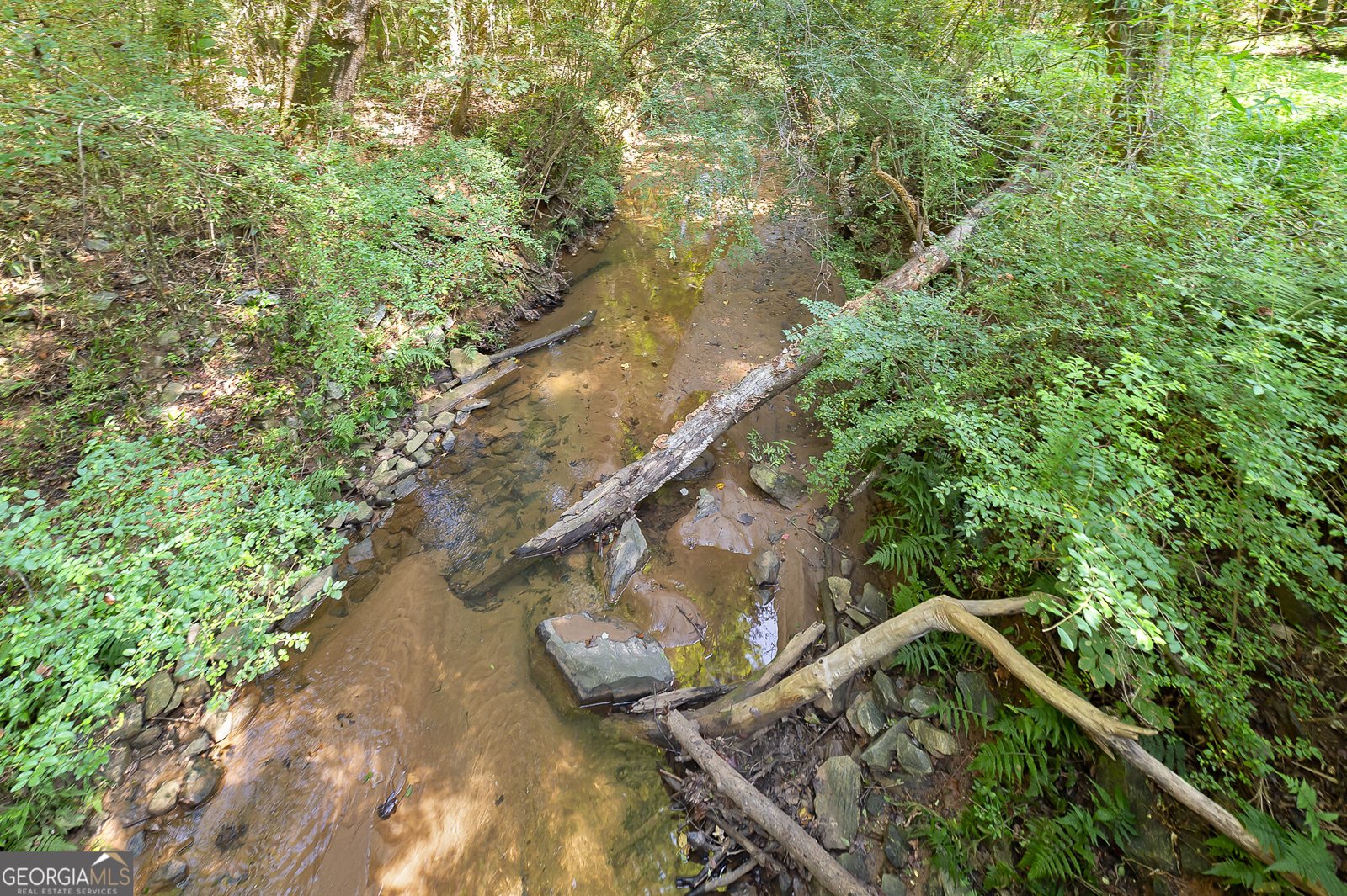 478 Blue Store Road Forsyth - Photo 59