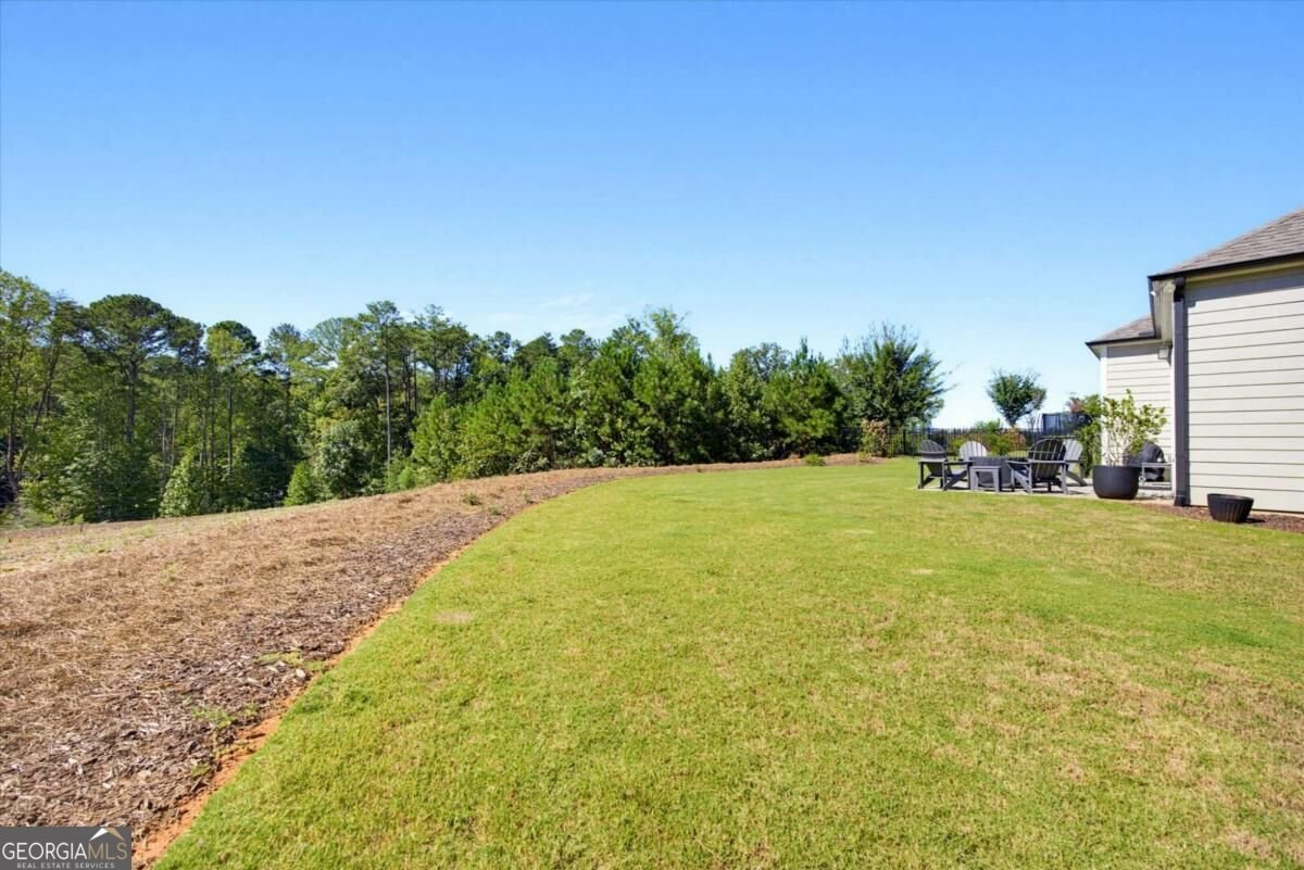 127 Spaulding Lane Woodstock - Photo 37