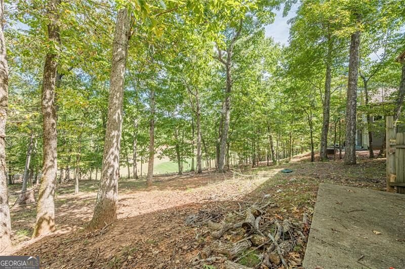 141 Red Cloud Drive Waleska - Photo 55