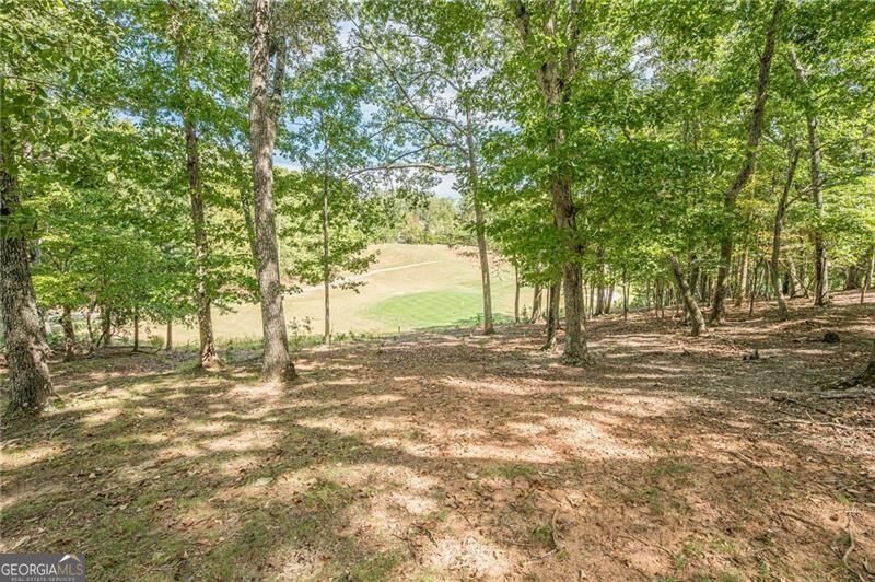 141 Red Cloud Drive Waleska - Photo 59