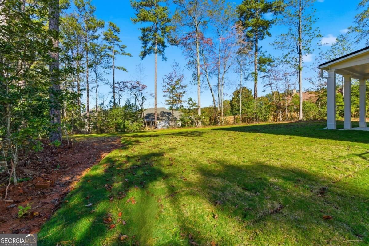 7762 Capps Ridge Lane Douglasville - Photo 39