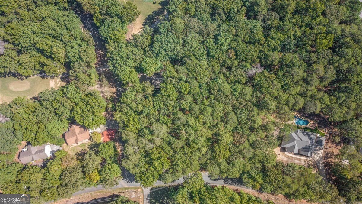 106 Banyon Court Waleska - Photo 41