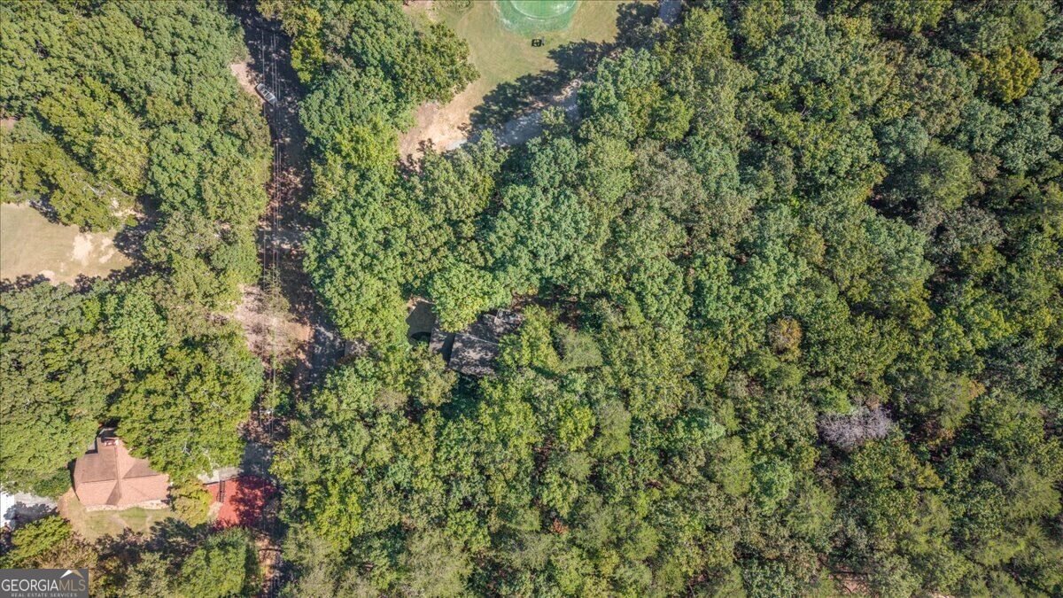 106 Banyon Court Waleska - Photo 44