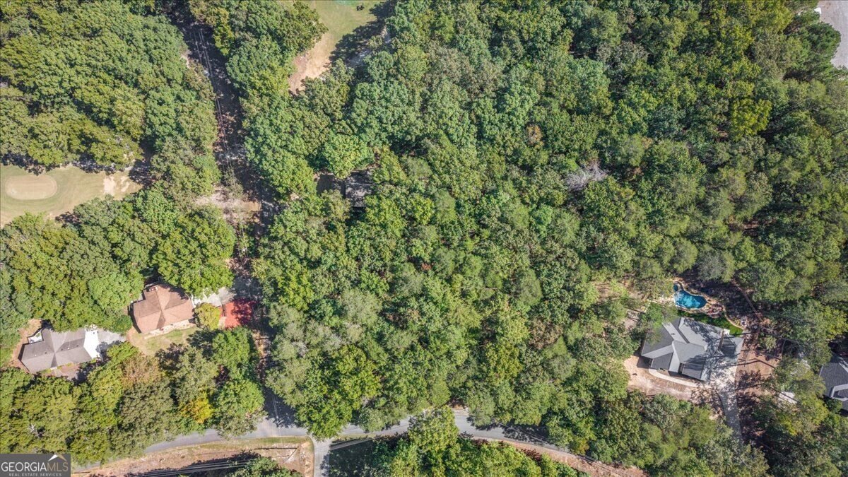 106 Banyon Court Waleska - Photo 45