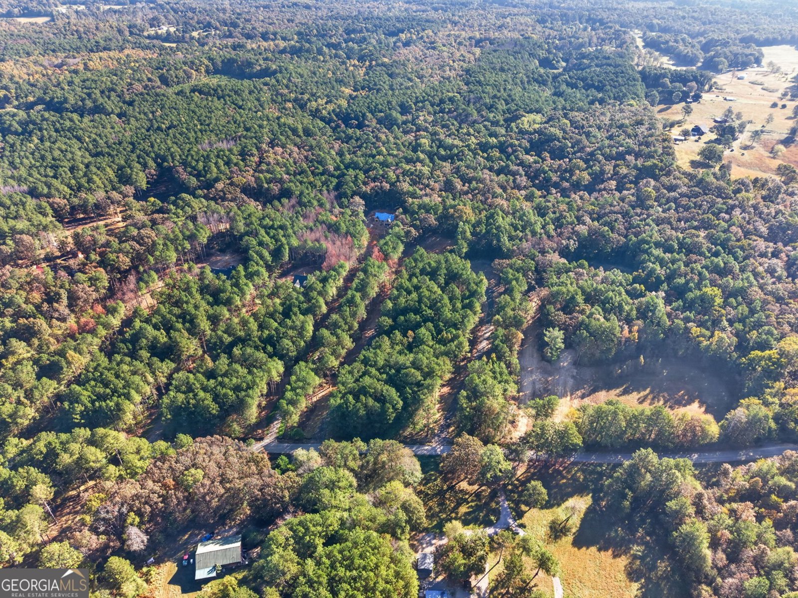 698 Carter Mountain Road Rockmart - Photo 40