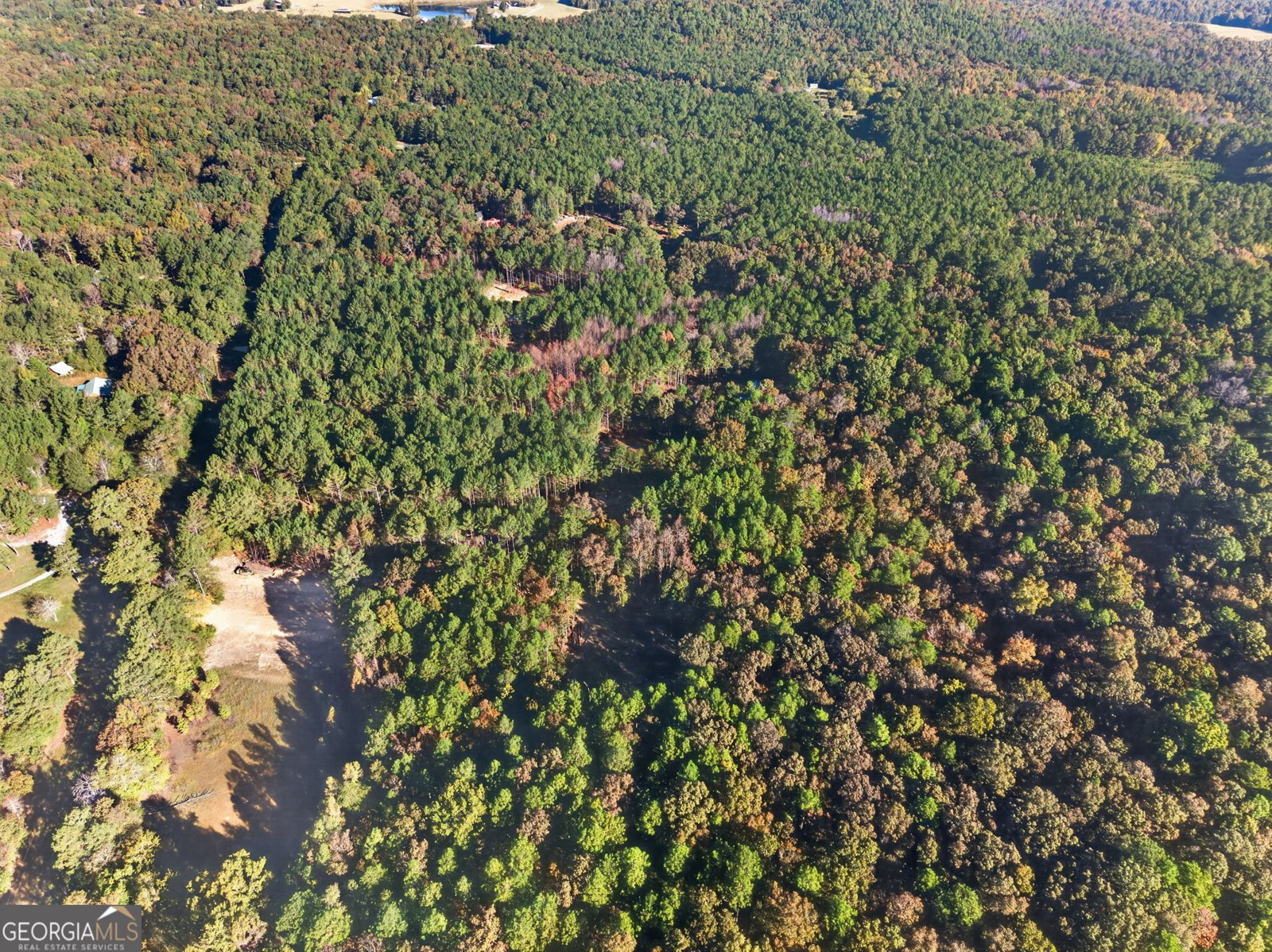 698 Carter Mountain Road Rockmart - Photo 41