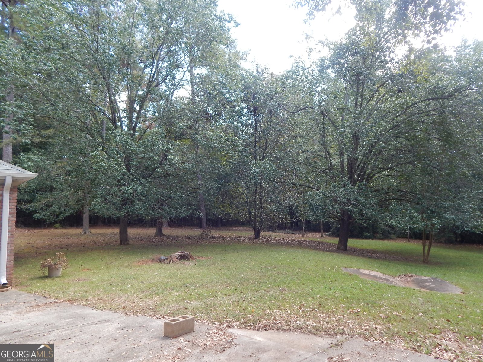 887 Cameron Mill Road Lagrange - Photo 48