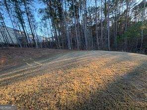 357 Indian Lake Trail Villa Rica - Photo 10