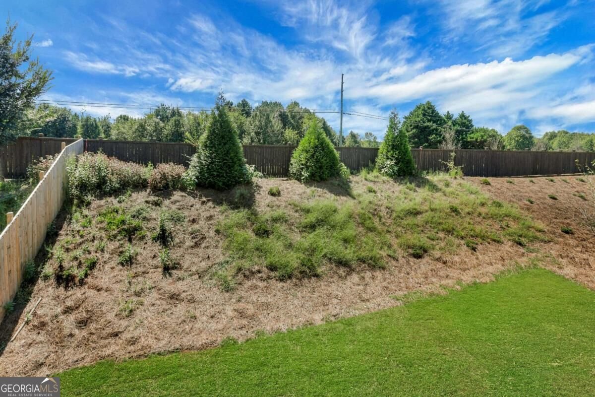 4132 Adler Circle Buford - Photo 38