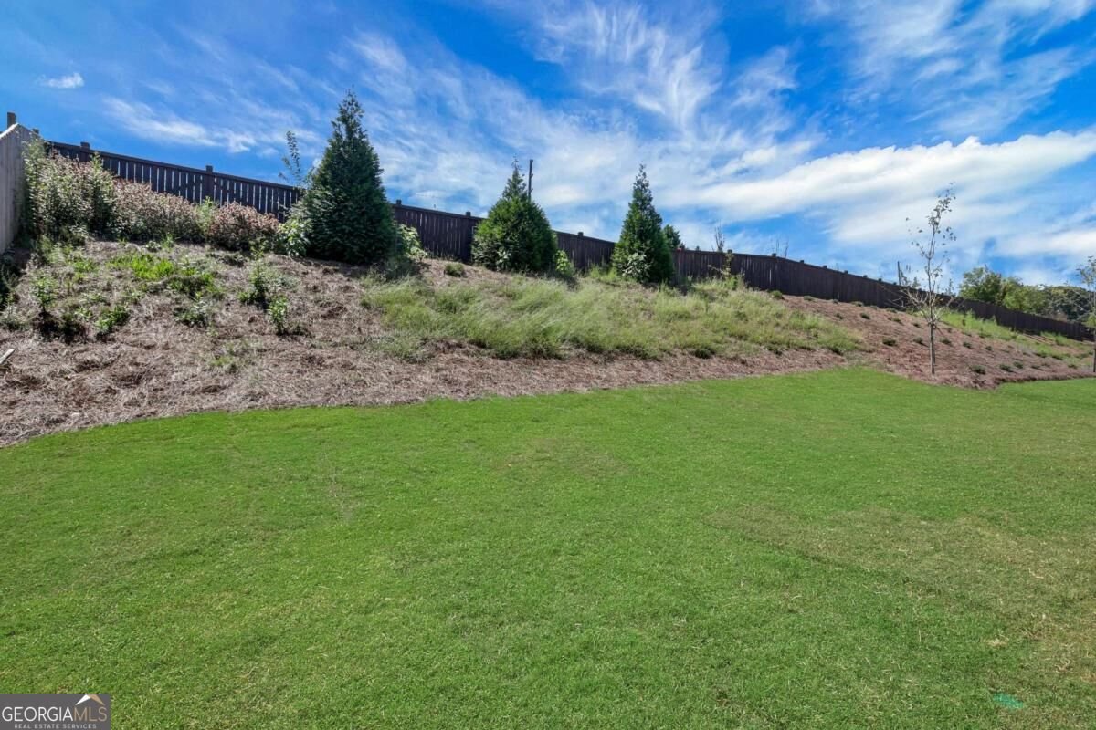 4132 Adler Circle Buford - Photo 49