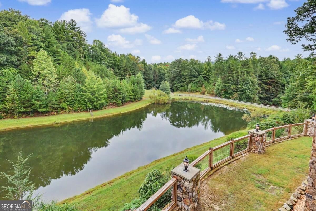 3469 Tails Creek Church Road Ellijay - Photo 59