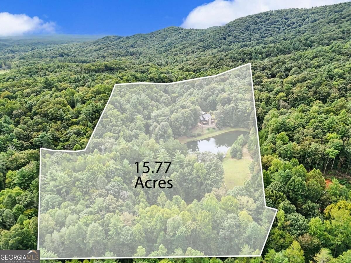 3469 Tails Creek Church Road Ellijay - Photo 7