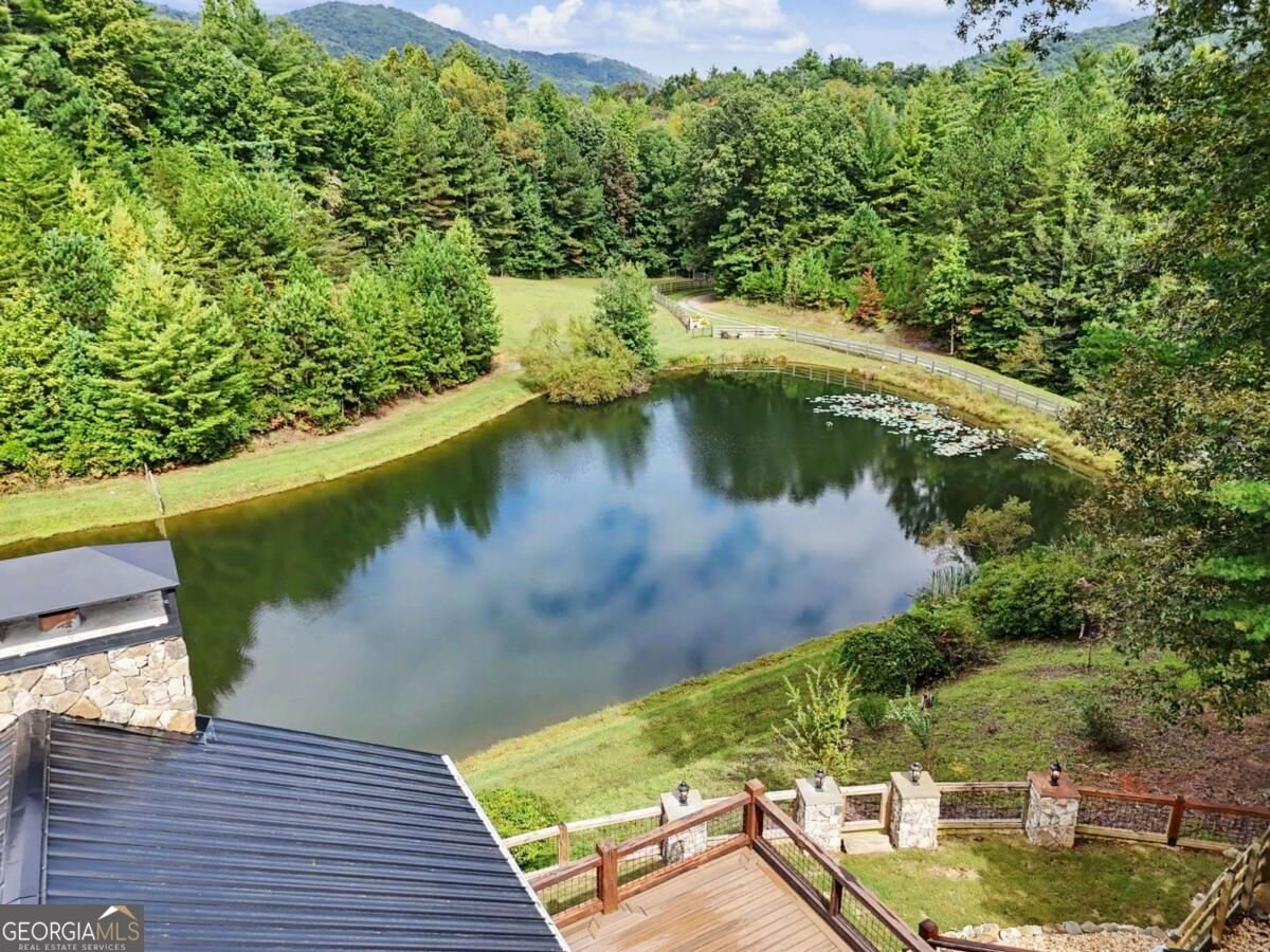 3469 Tails Creek Church Road Ellijay - Photo 80