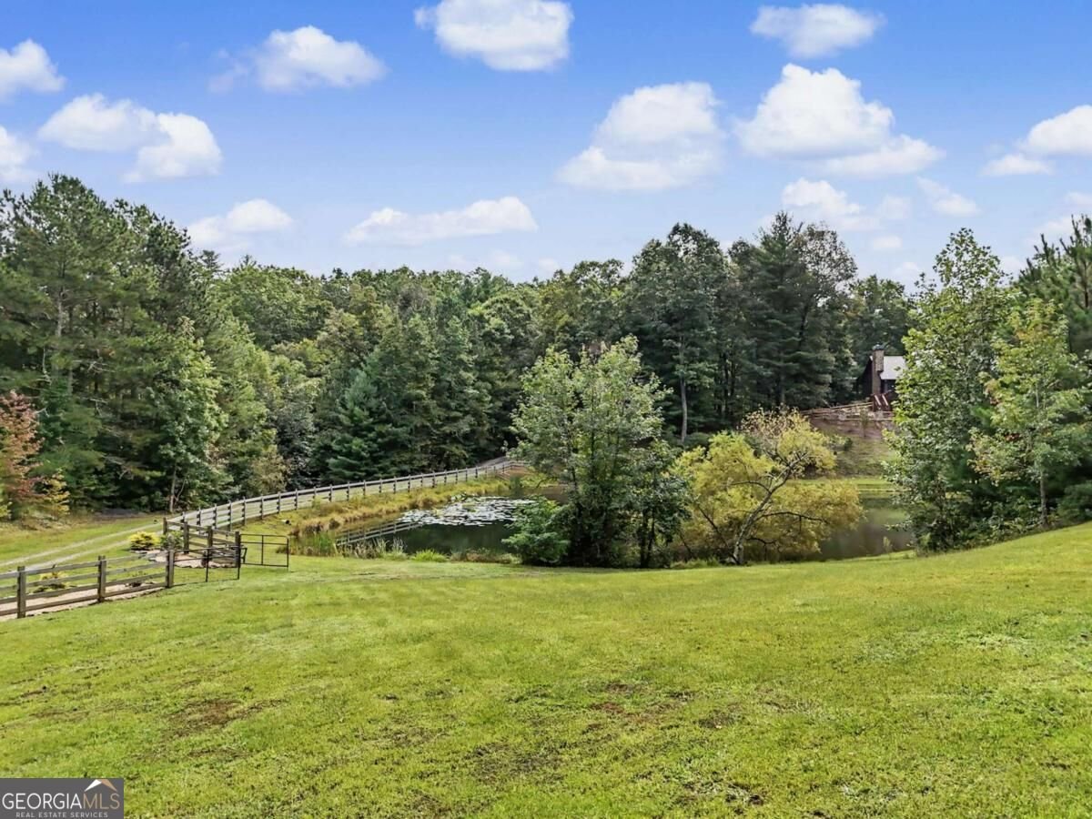 3469 Tails Creek Church Road Ellijay - Photo 82
