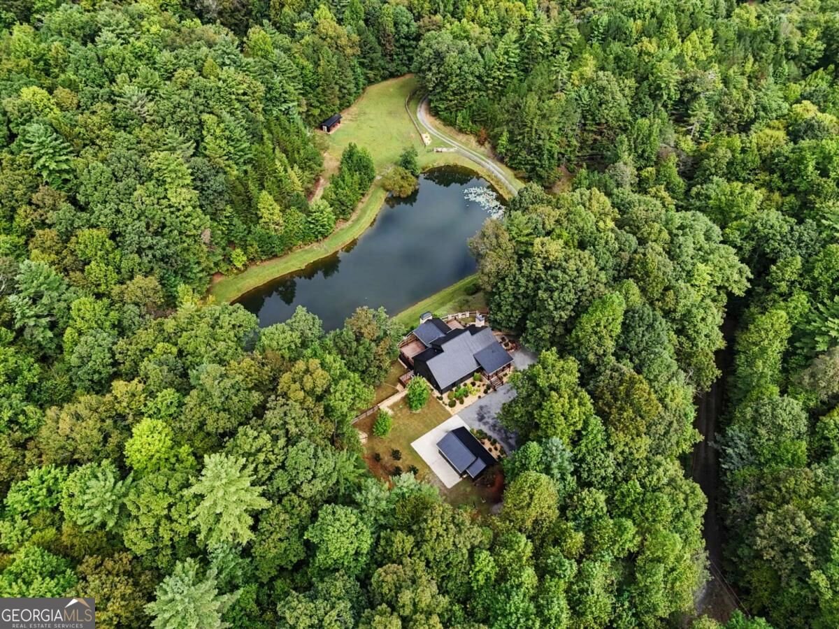 3469 Tails Creek Church Road Ellijay - Photo 84