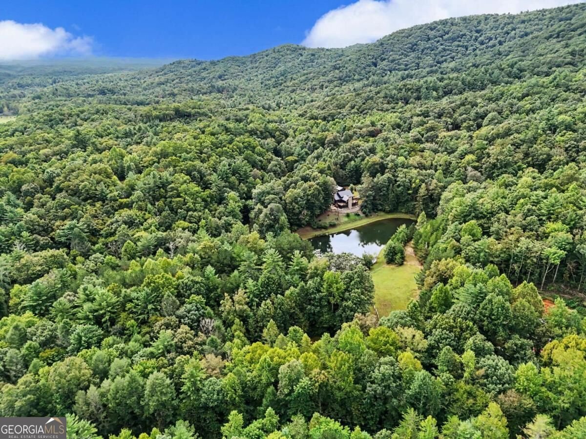 3469 Tails Creek Church Road Ellijay - Photo 86