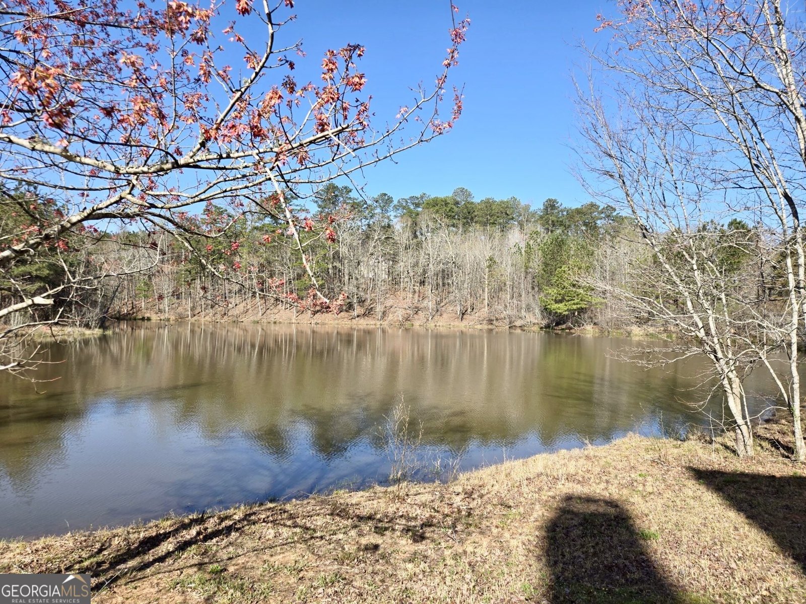 6509 LILY Trail Fairburn - Photo 72
