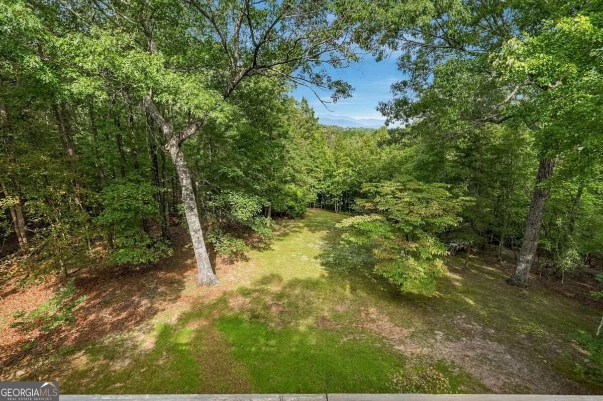 718 Ben Higgins Road Dahlonega - Photo 43