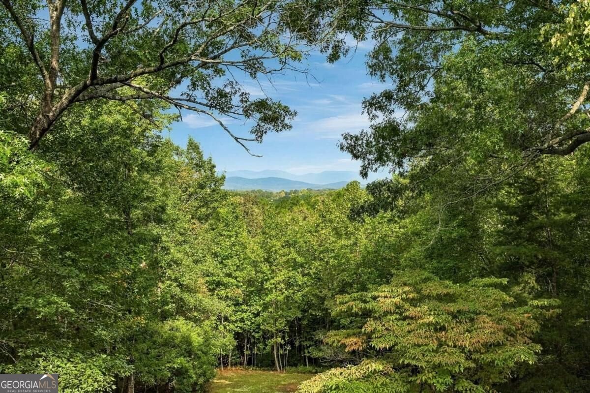 718 Ben Higgins Road Dahlonega - Photo 44