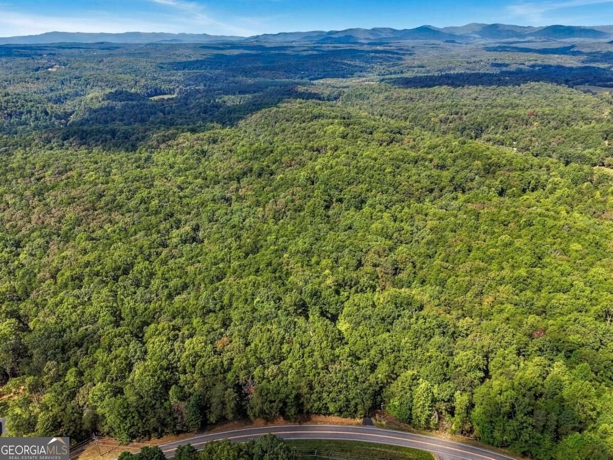 718 Ben Higgins Road Dahlonega - Photo 48