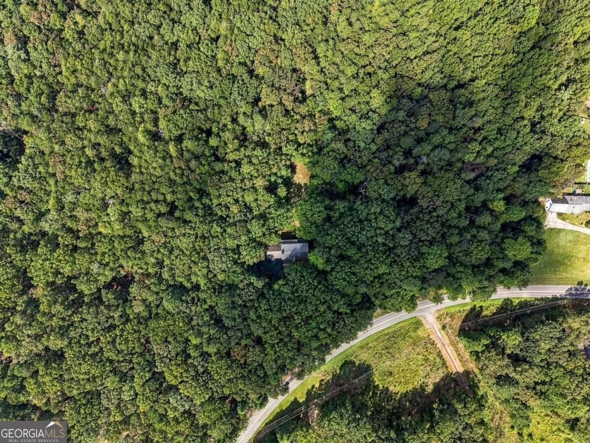 718 Ben Higgins Road Dahlonega - Photo 49