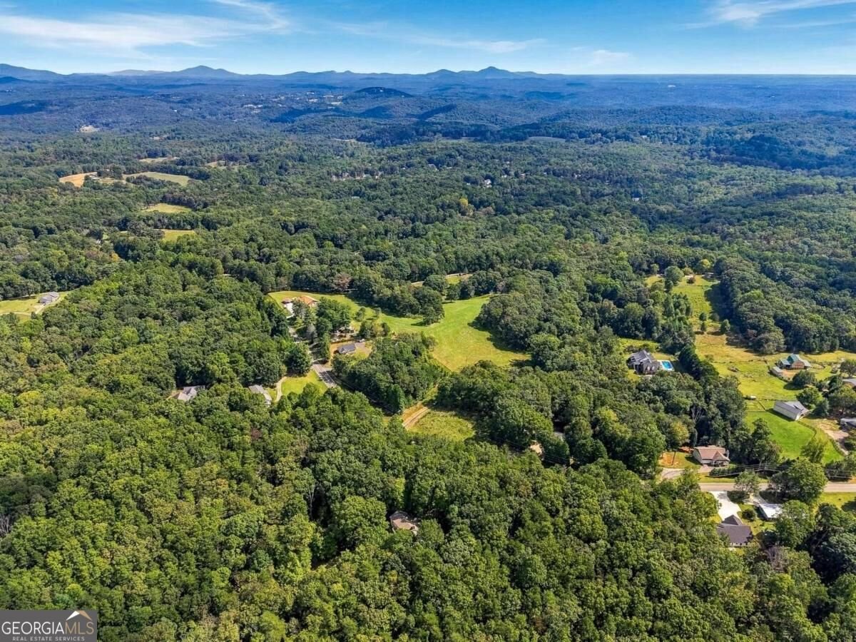 718 Ben Higgins Road Dahlonega - Photo 50