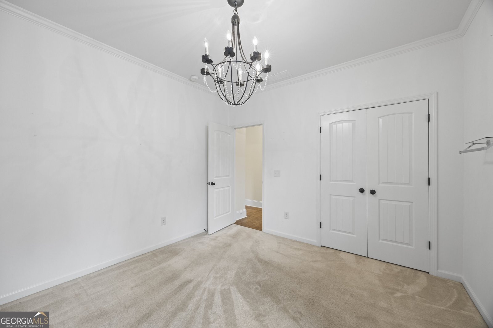 1360 Ashbury Park Drive Hoschton - Photo 61