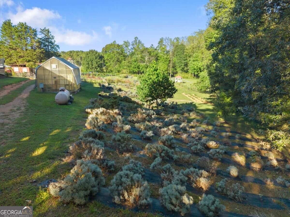 2882 Red Oak Flats Road Dahlonega - Photo 19