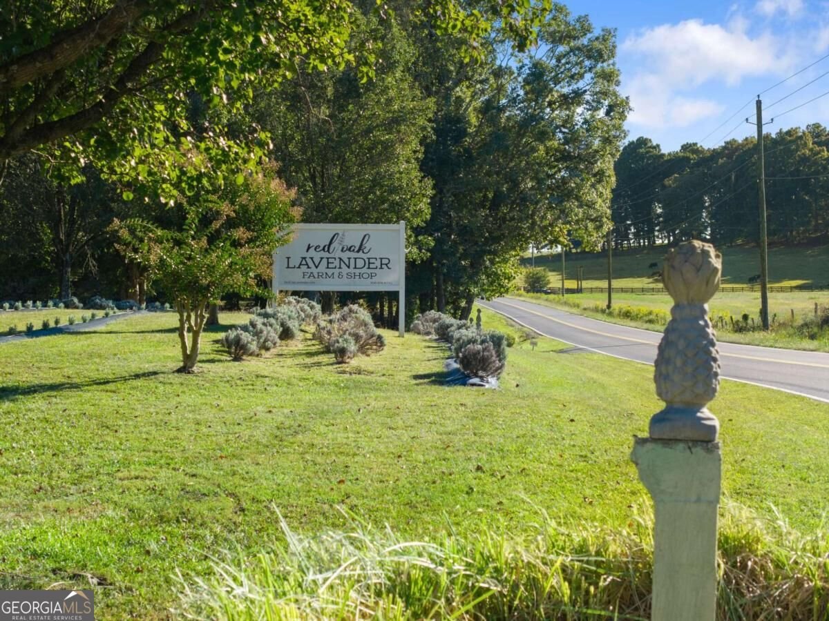 2882 Red Oak Flats Road Dahlonega - Photo 21