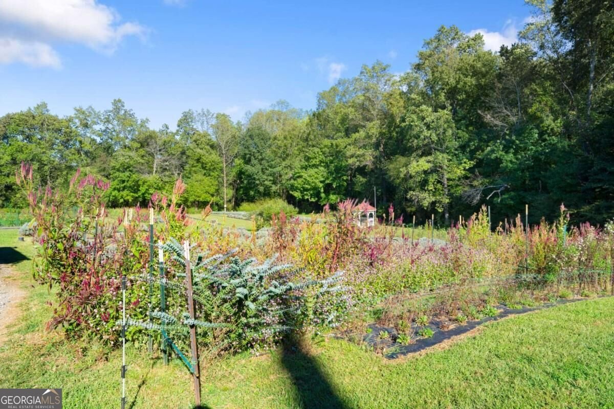 2882 Red Oak Flats Road Dahlonega - Photo 30