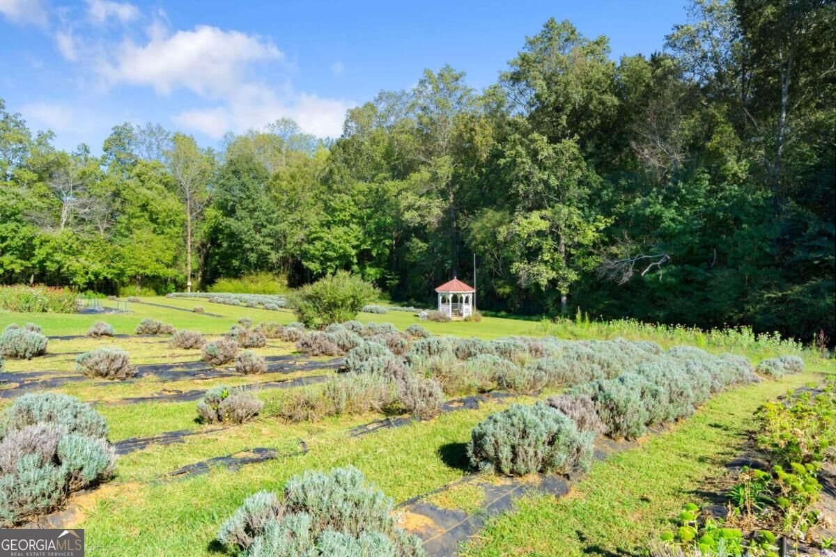 2882 Red Oak Flats Road Dahlonega - Photo 31