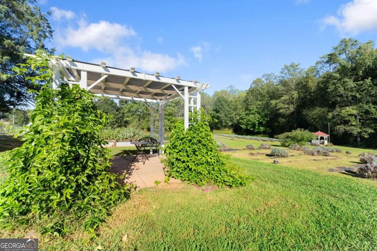 2882 Red Oak Flats Road Dahlonega - Photo 37