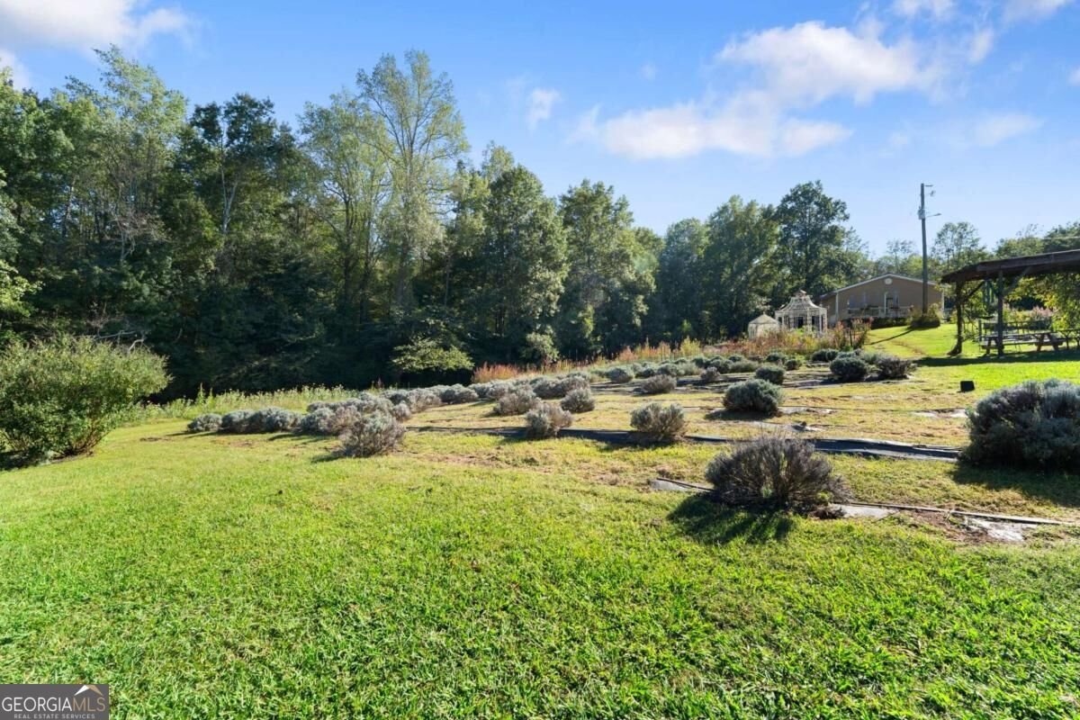 2882 Red Oak Flats Road Dahlonega - Photo 39