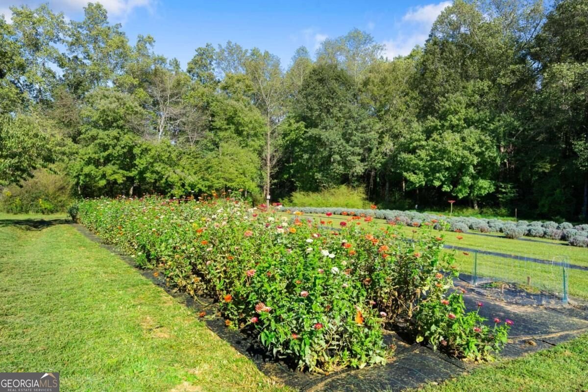 2882 Red Oak Flats Road Dahlonega - Photo 42