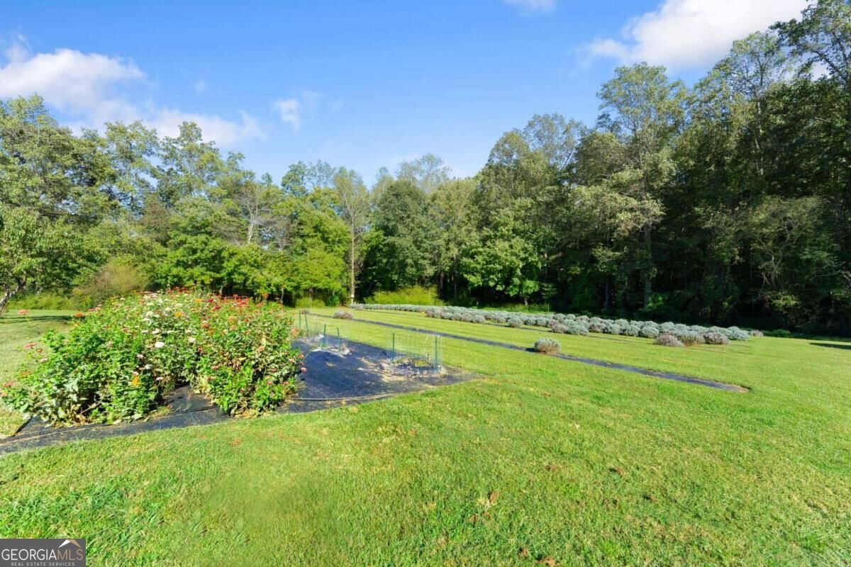 2882 Red Oak Flats Road Dahlonega - Photo 43
