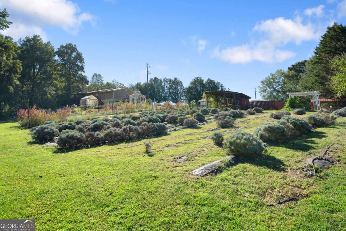 2882 Red Oak Flats Road Dahlonega - Photo 45