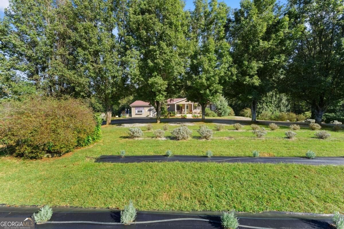 2882 Red Oak Flats Road Dahlonega - Photo 54