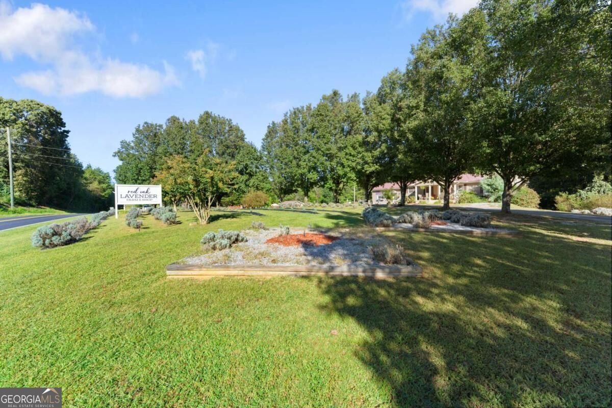 2882 Red Oak Flats Road Dahlonega - Photo 56