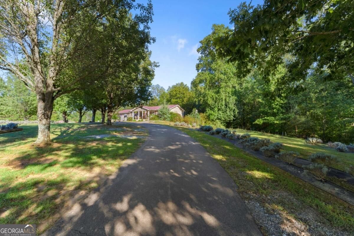 2882 Red Oak Flats Road Dahlonega - Photo 57