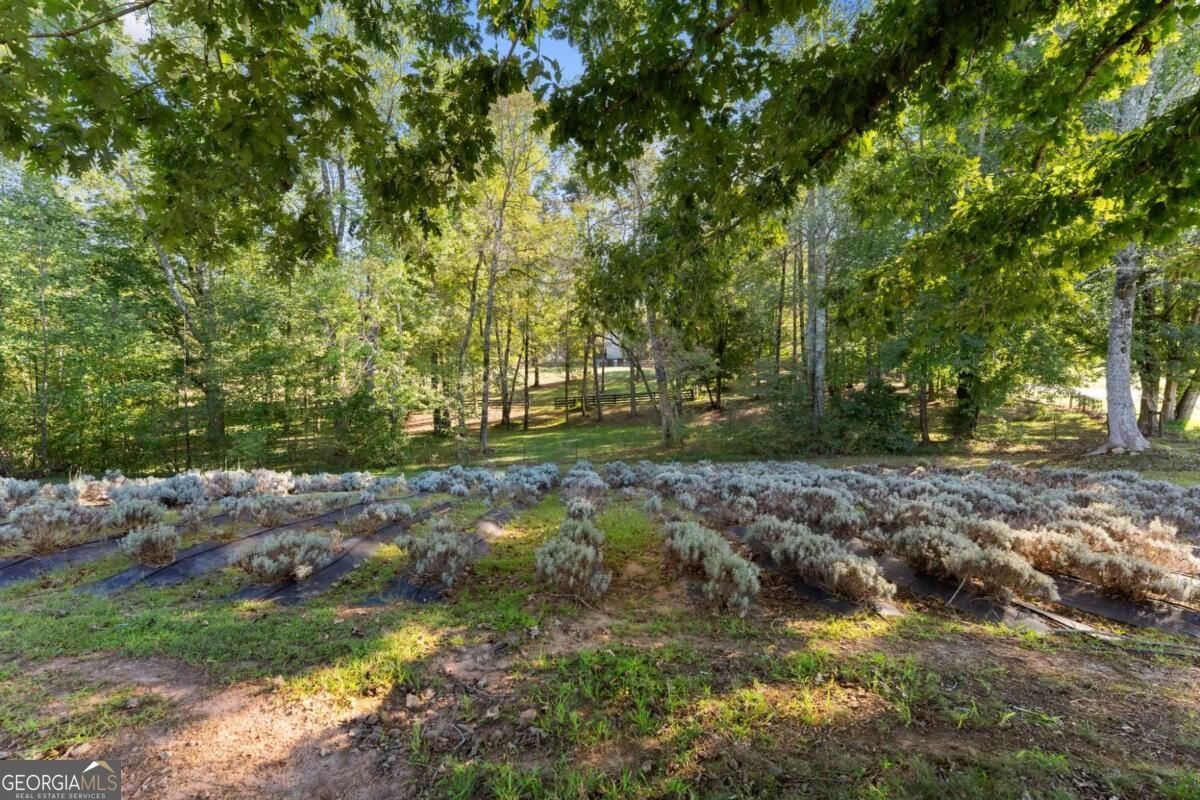 2882 Red Oak Flats Road Dahlonega - Photo 58