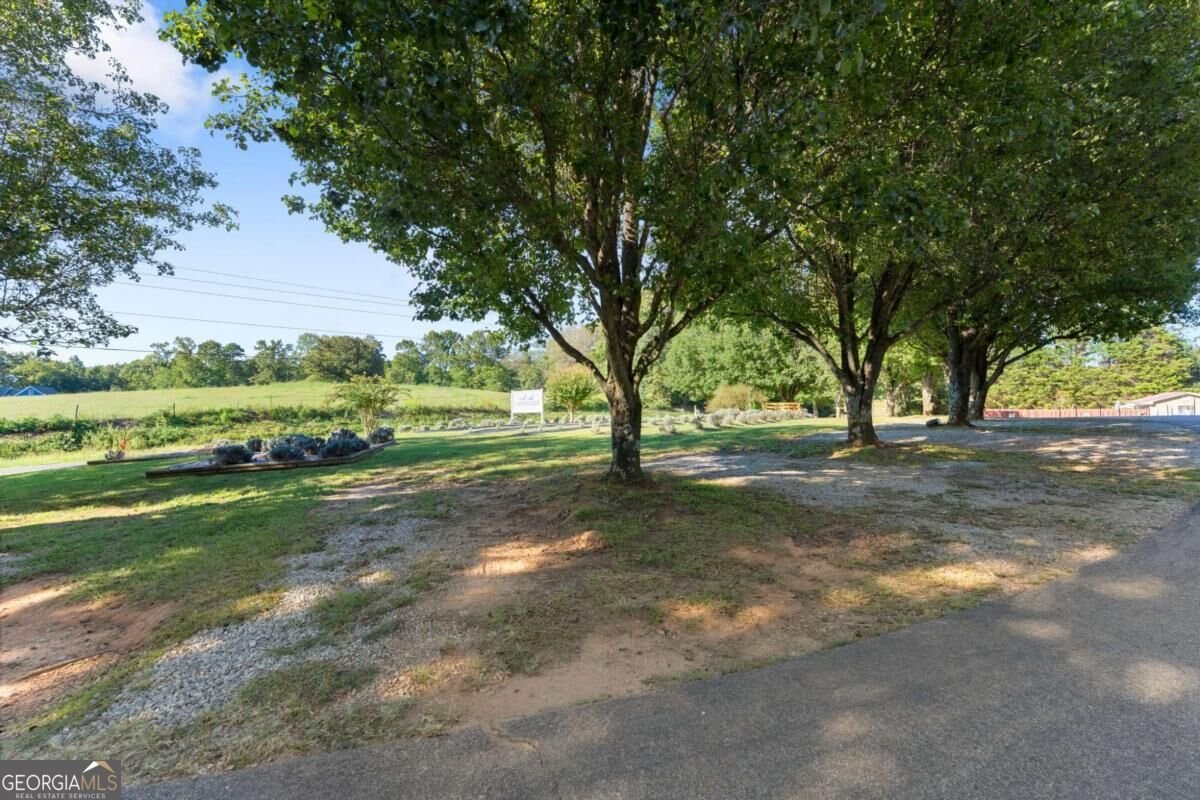2882 Red Oak Flats Road Dahlonega - Photo 59