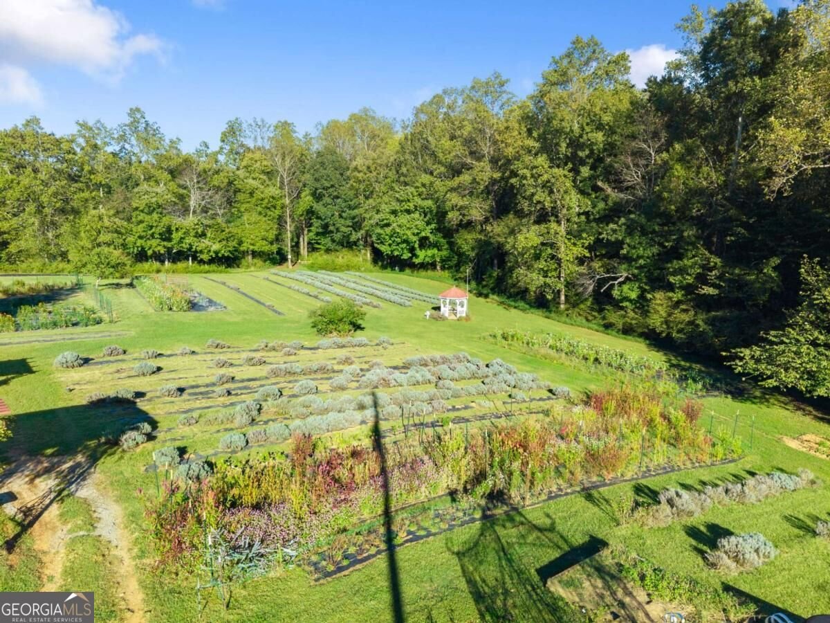 2882 Red Oak Flats Road Dahlonega - Photo 65