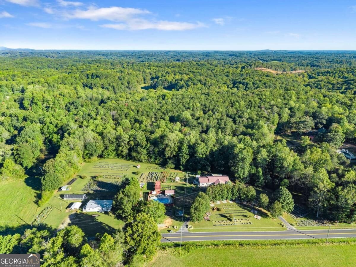 2882 Red Oak Flats Road Dahlonega - Photo 78
