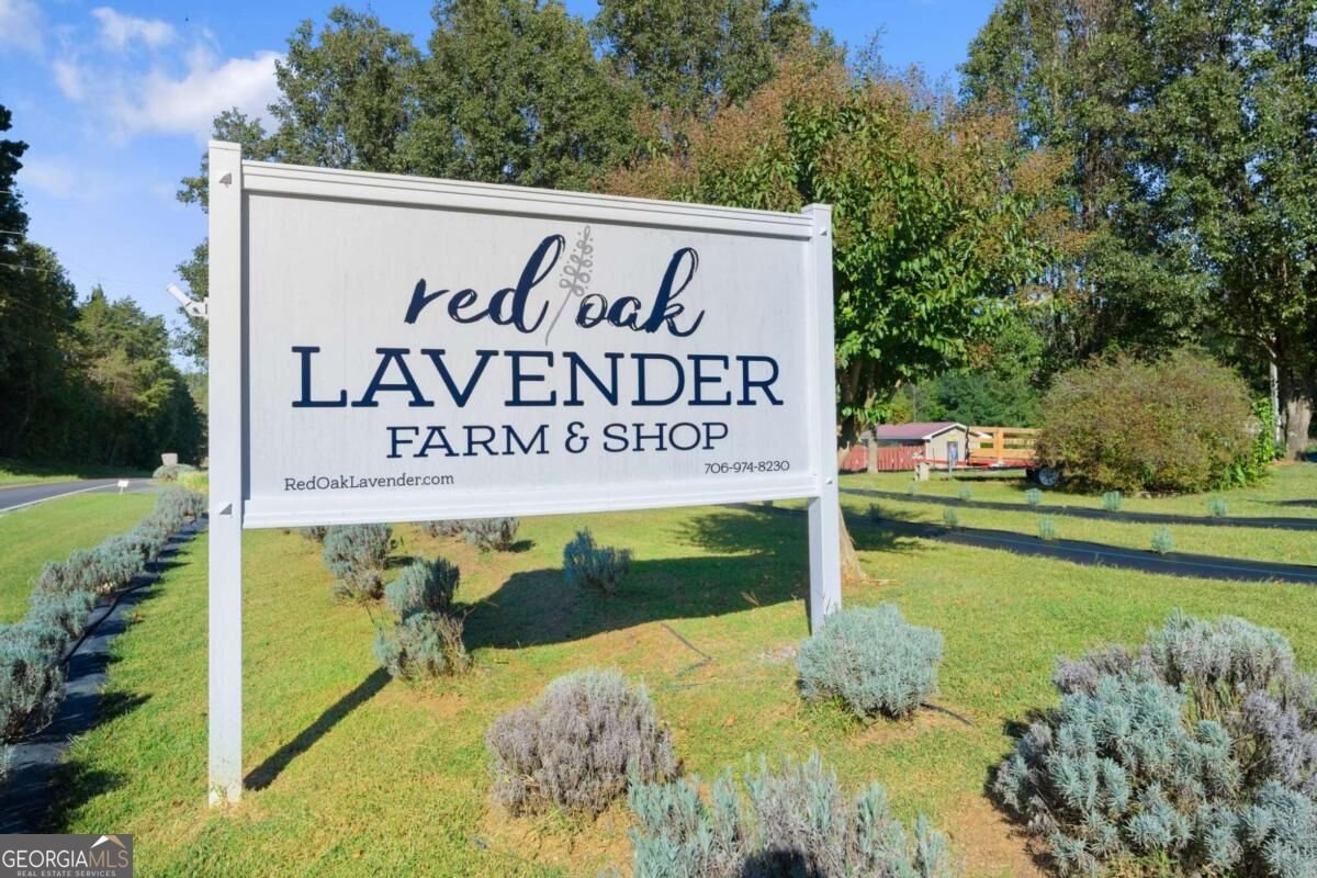 2882 Red Oak Flats Road Dahlonega - Photo 8