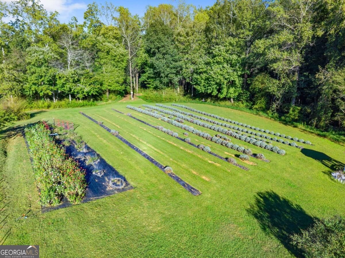 2882 Red Oak Flats Road Dahlonega - Photo 82