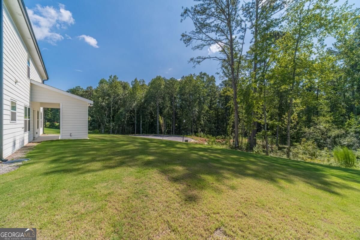 907 Bessie Court Loganville - Photo 35