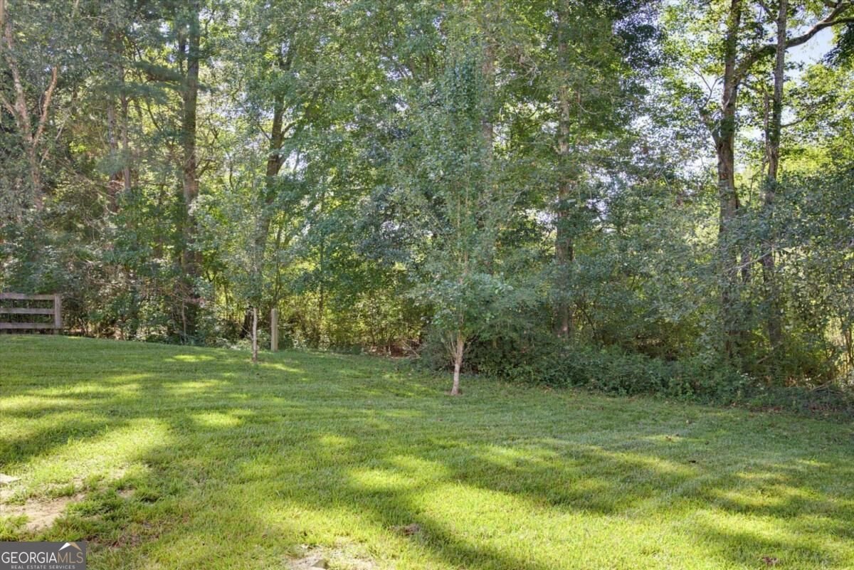 9993 Harmon Springs Drive Villa Rica - Photo 21