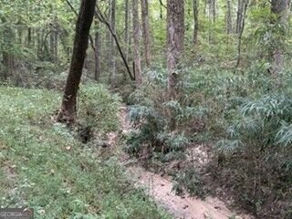 2597 Valleydale Drive Conyers - Photo 35