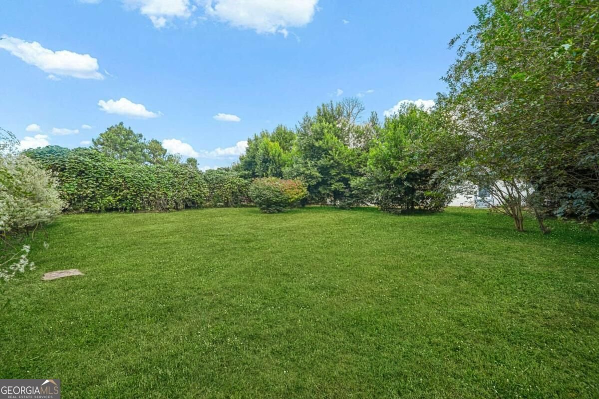 6628 Cherry Tree Lane Sandy Springs - Photo 54